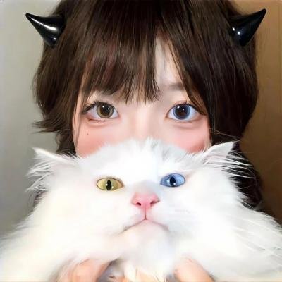 蛊惑猫捉贼