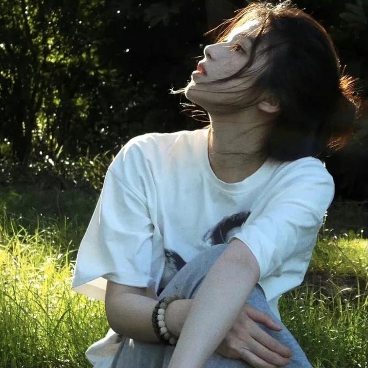 鲨人树儿