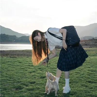 芙蓉仙子